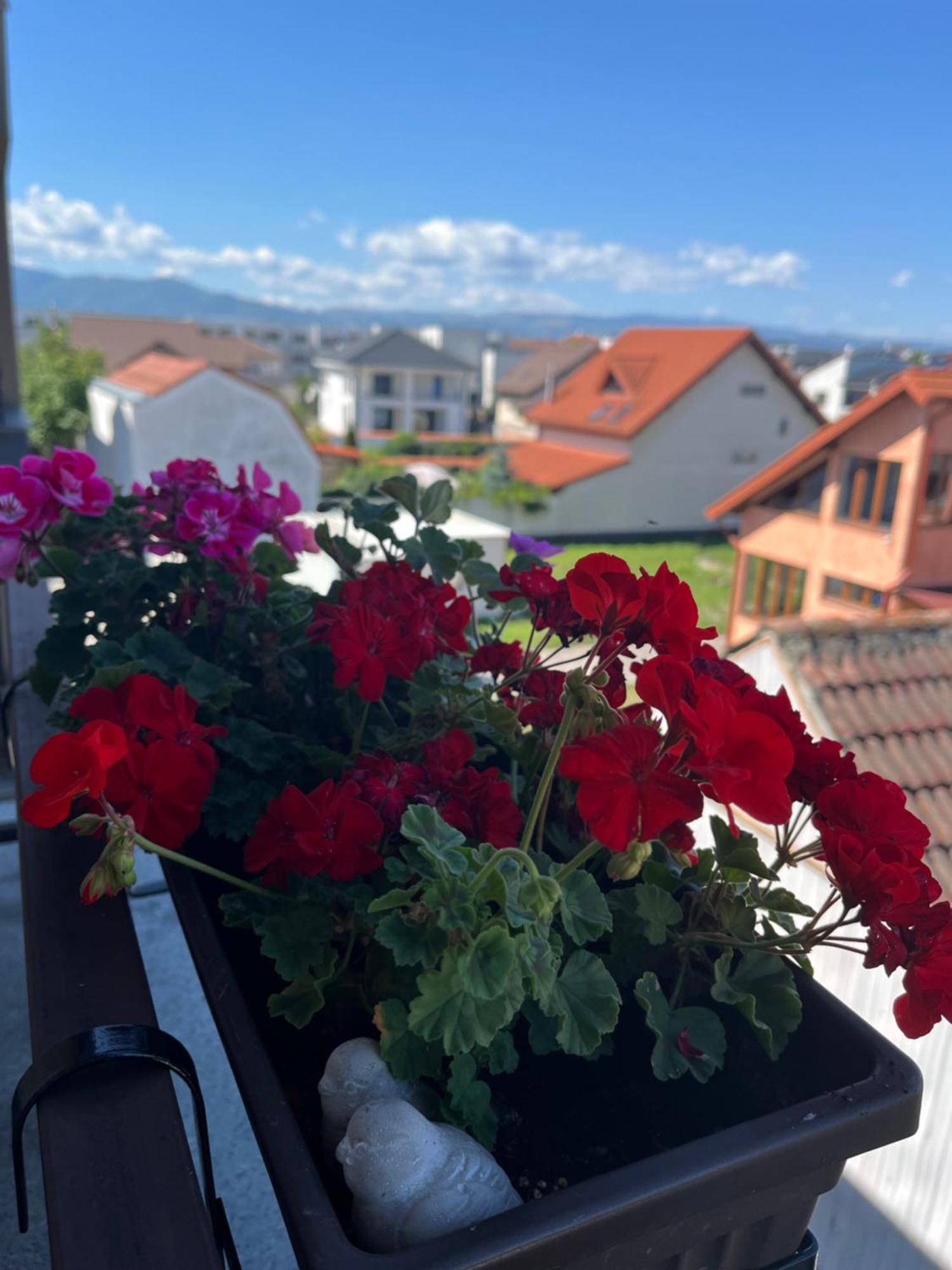 Apartament Acasa Sibiu Buitenkant foto